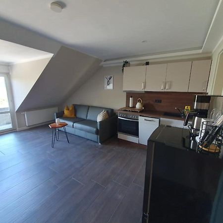 Neumuehler Hof- Ferienwohnung "Benjamin" Mit Grosser Privater Dachterasse Und Guter Anbindung In Die City Schwerin  Bagian luar foto